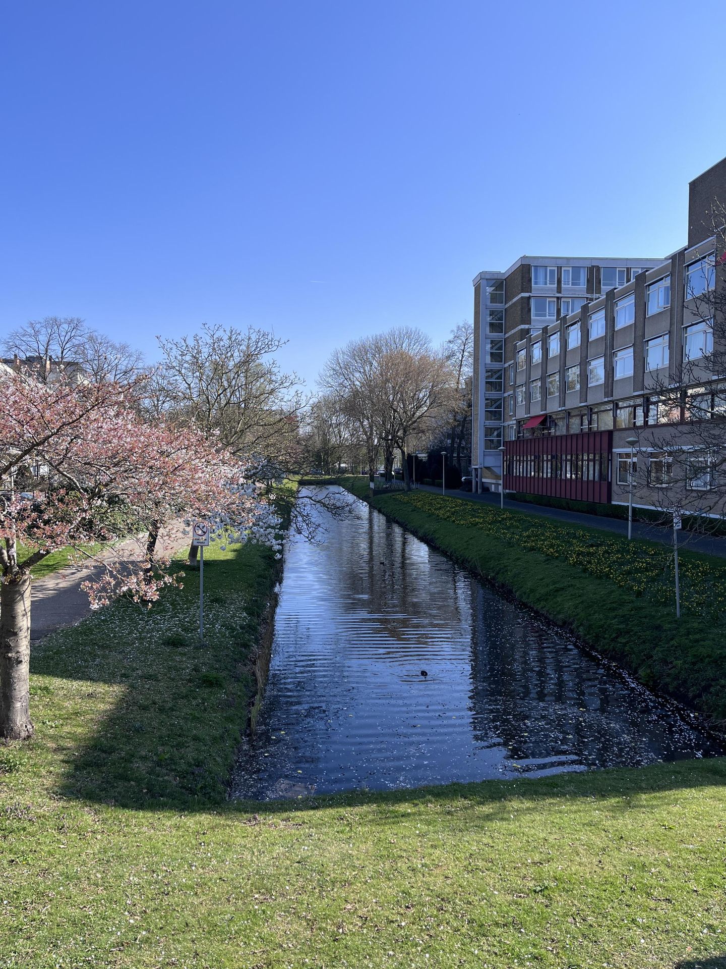 Foto 4 van Zwaardvegersgaarde 51