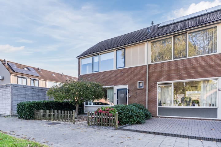 Foto 6 van Dopheidestraat 21