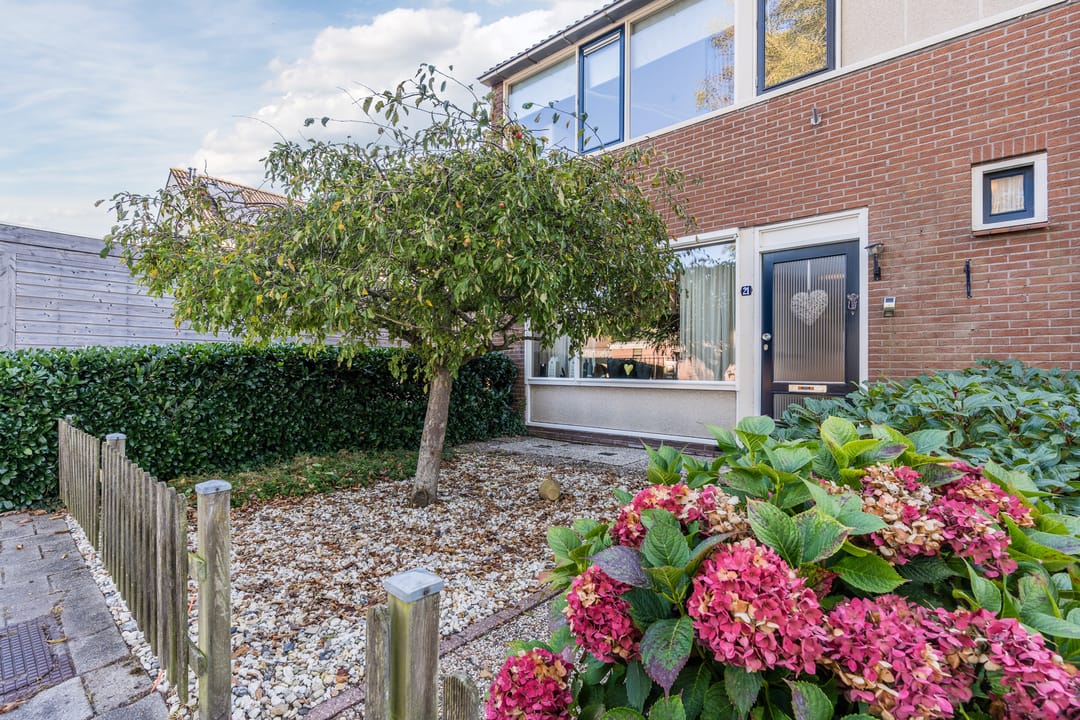 Foto 8 van Dopheidestraat 21