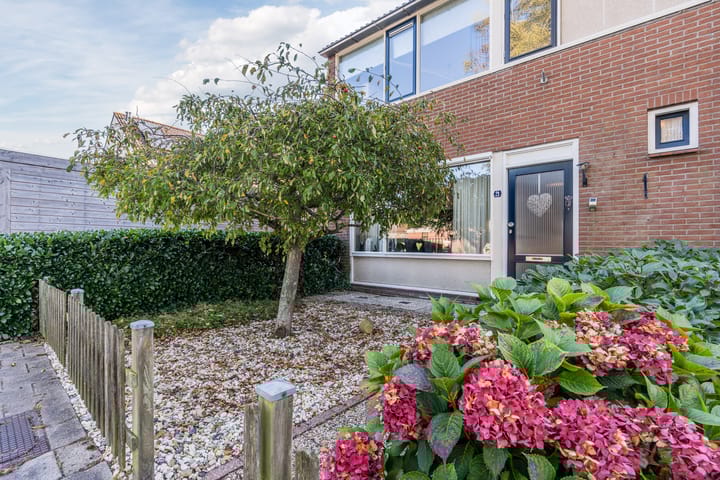 Foto 8 van Dopheidestraat 21