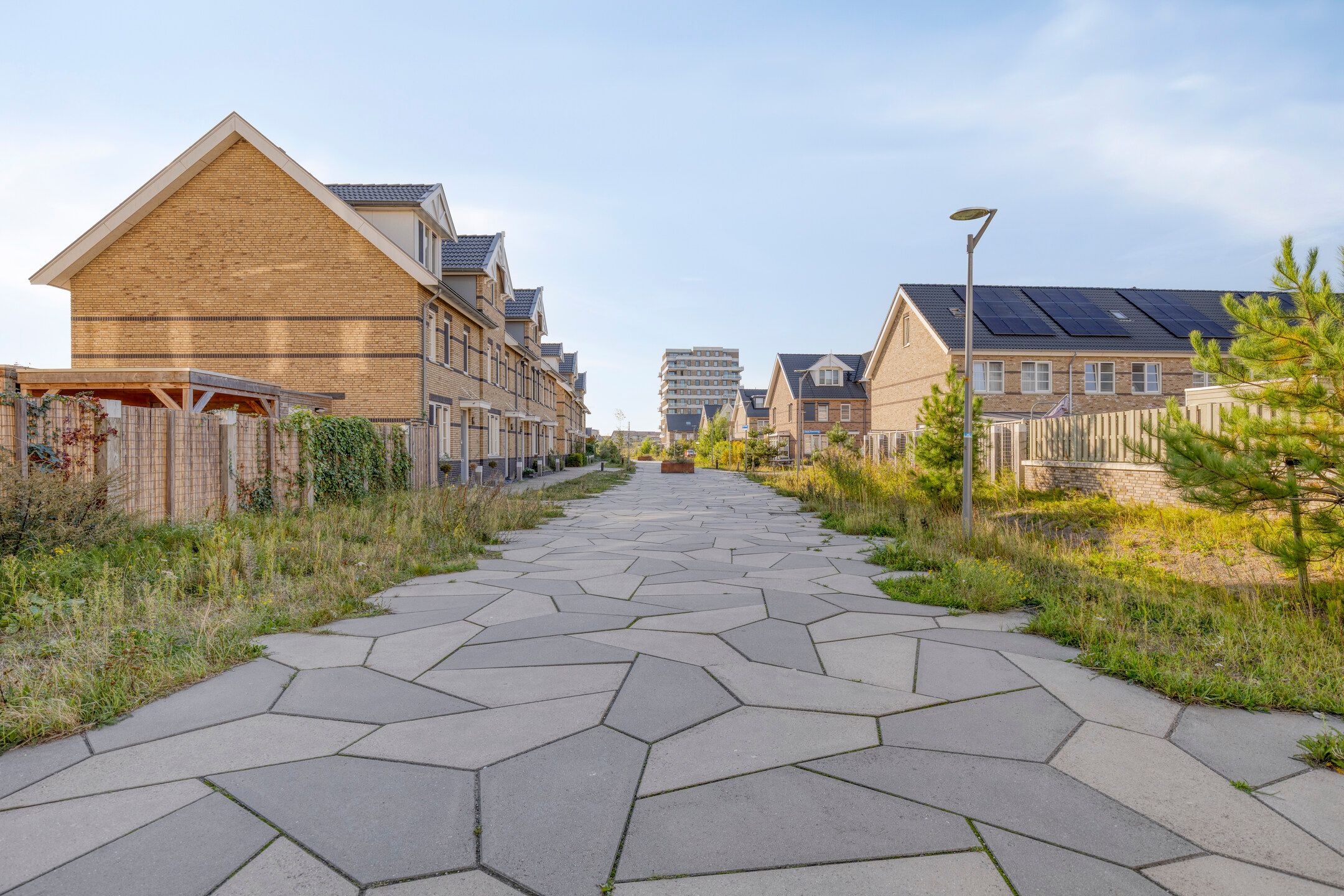 Photo 36 of Gouden Medaillepad 13