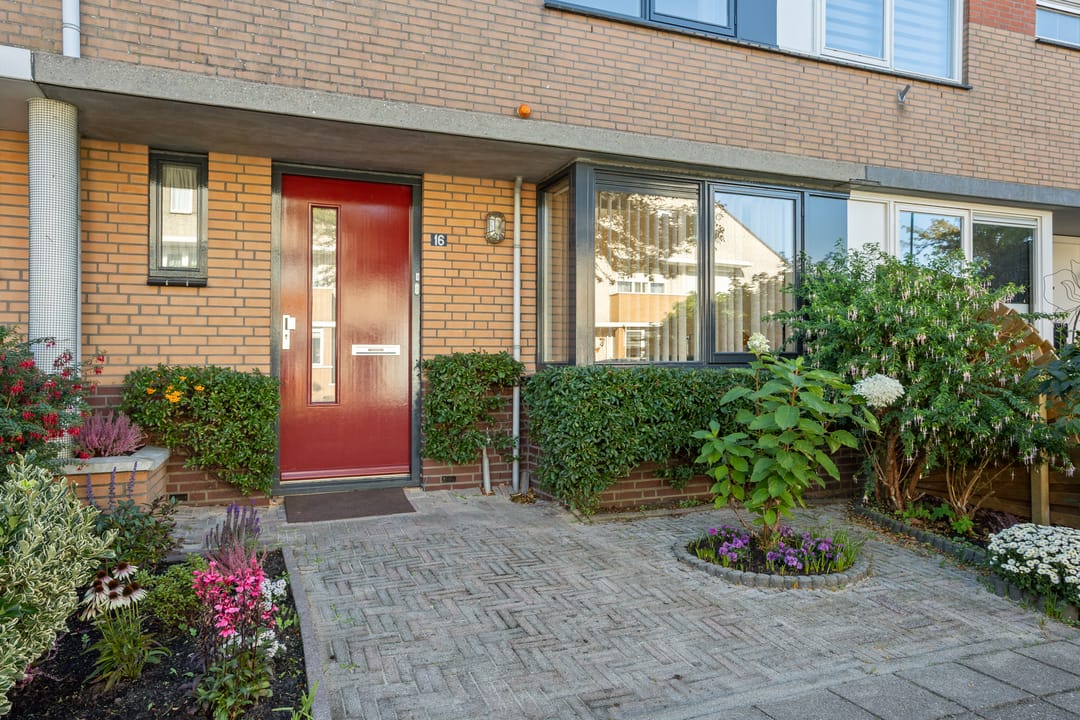 Photo 2 of Albast 16