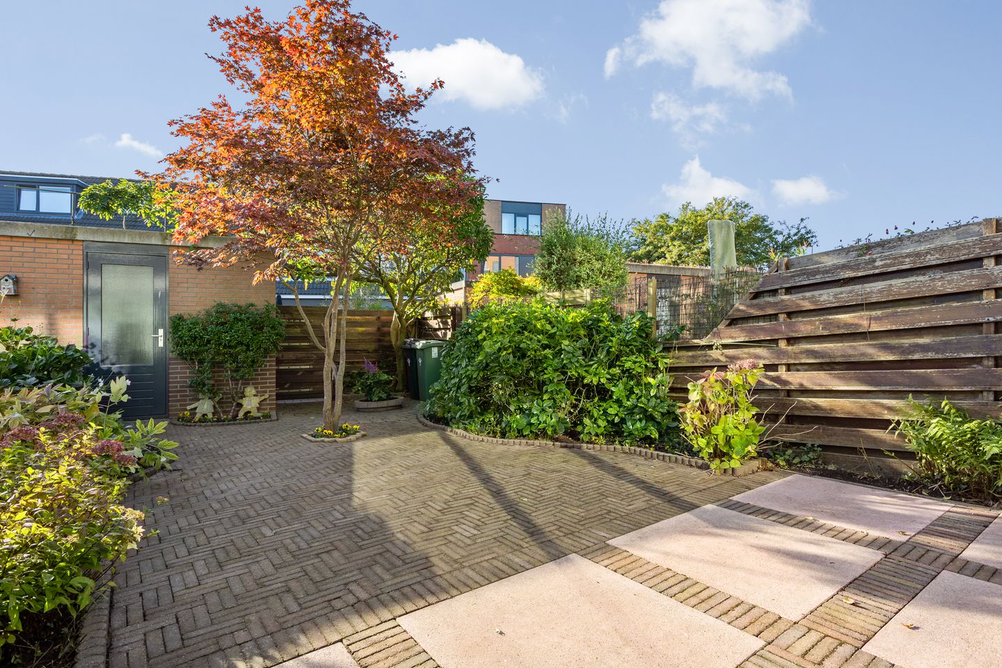 Photo 25 of Albast 16