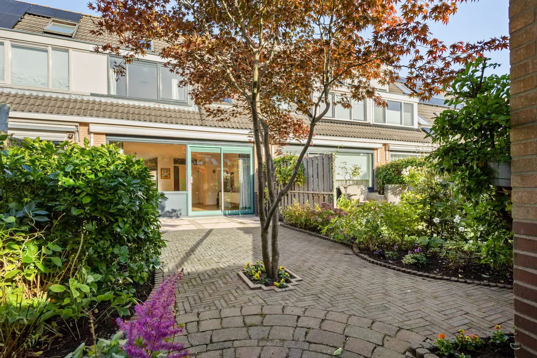 Photo 28 of Albast 16