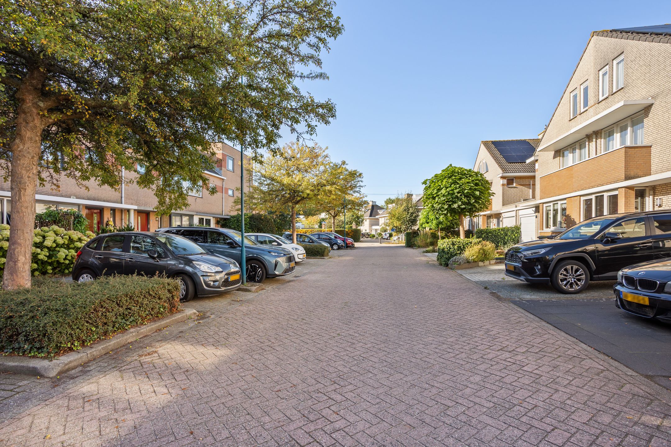 Photo 30 of Albast 16