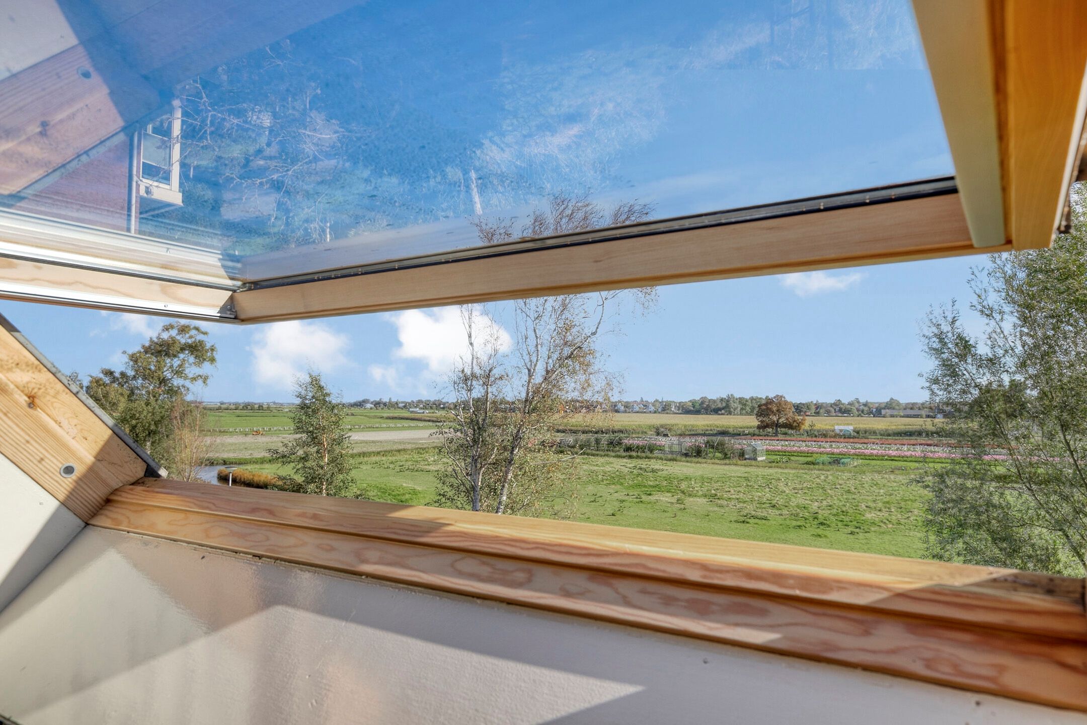 Foto 24 van Boompjesven 115