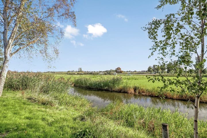 Foto 35 van Boompjesven 115