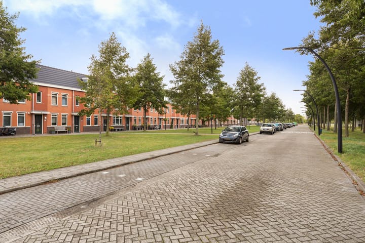 Photo 46 of Lichtboei 44