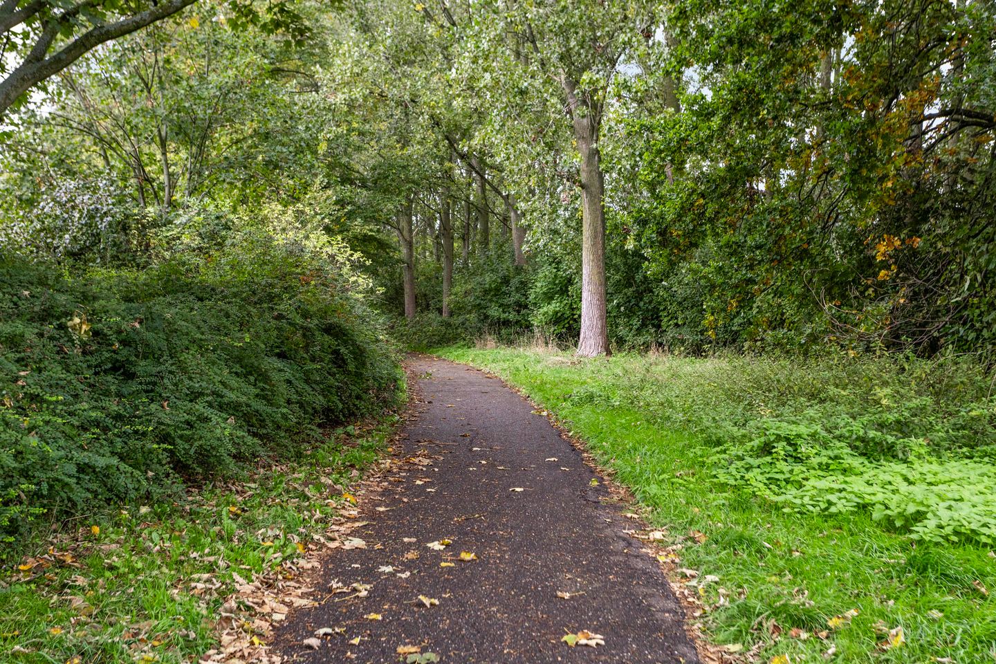 Foto 34 van Sergeant Brownstraat 4-A