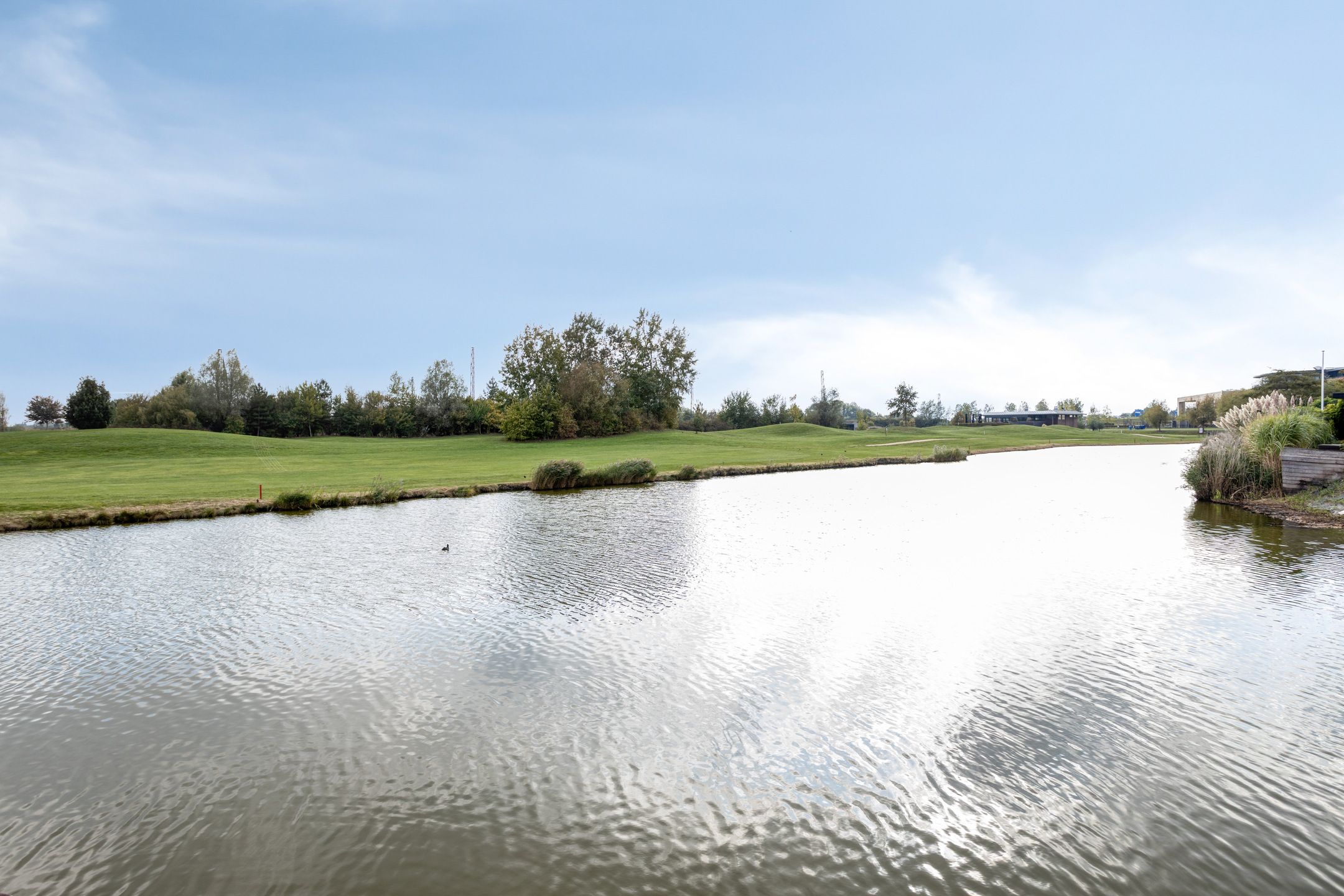 Foto 48 van Bluesroute 118