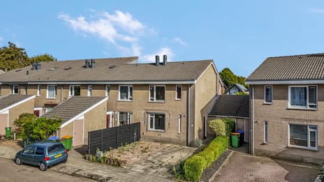 undefined main image