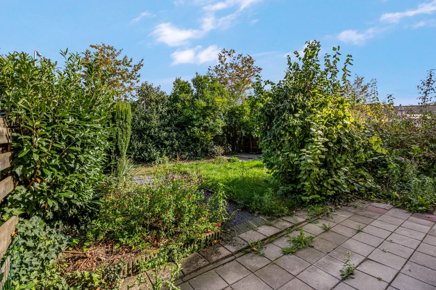 Foto 20 van de Savornin Lohmanstraat 34