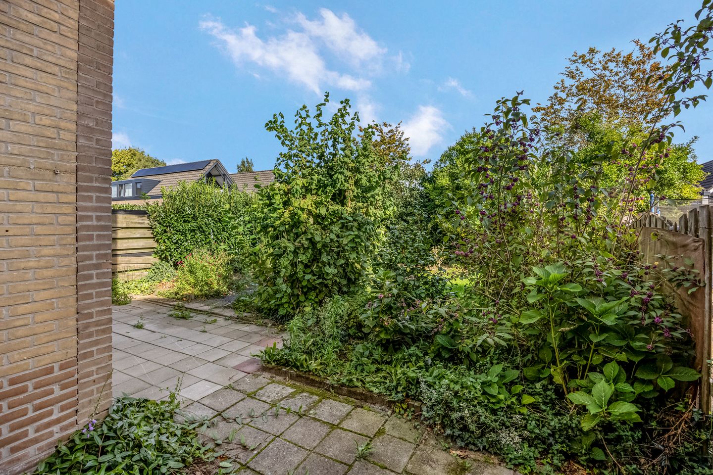 Foto 25 van de Savornin Lohmanstraat 34