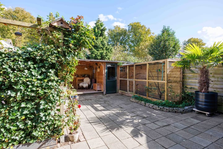 Foto 37 van Schapendijkje 14