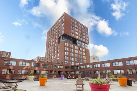 undefined main image