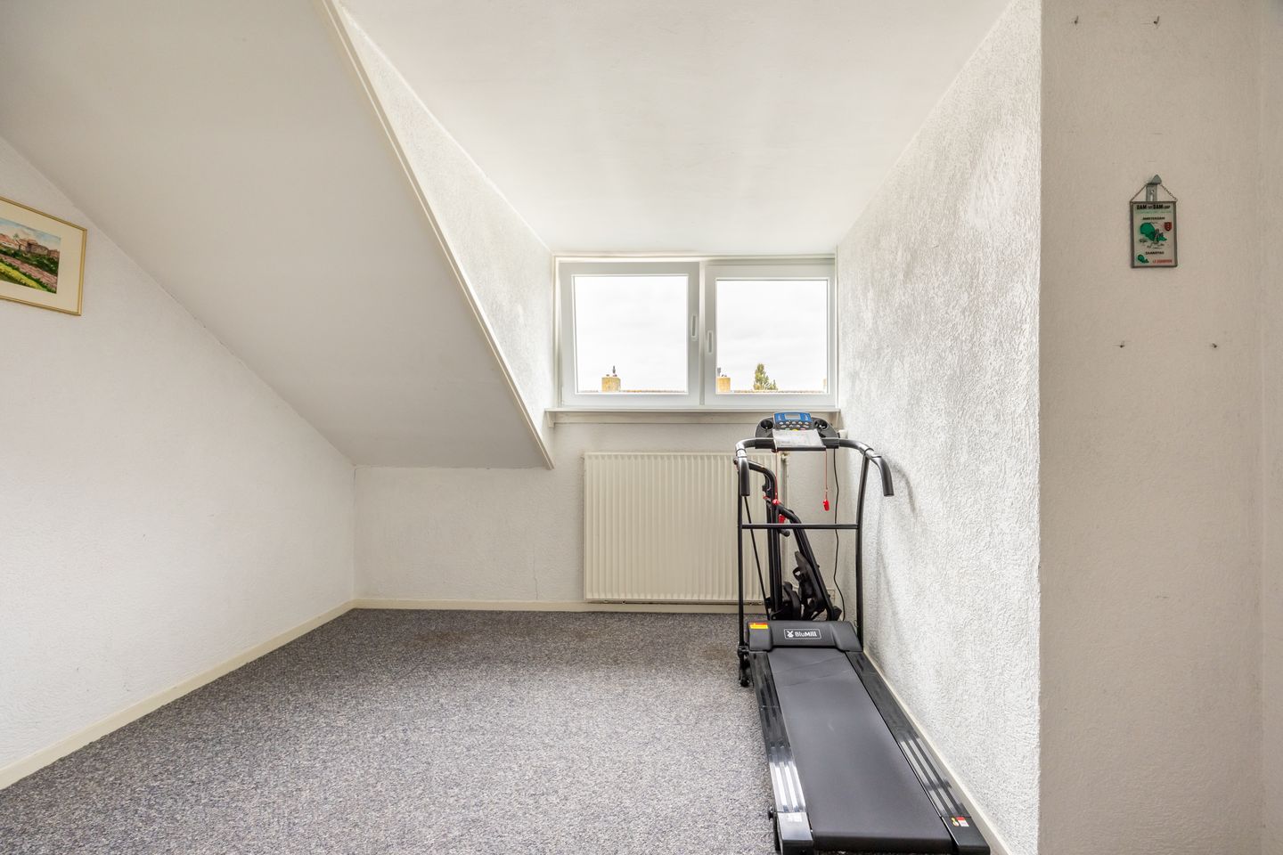 Foto 20 van Frans Halslaan 6