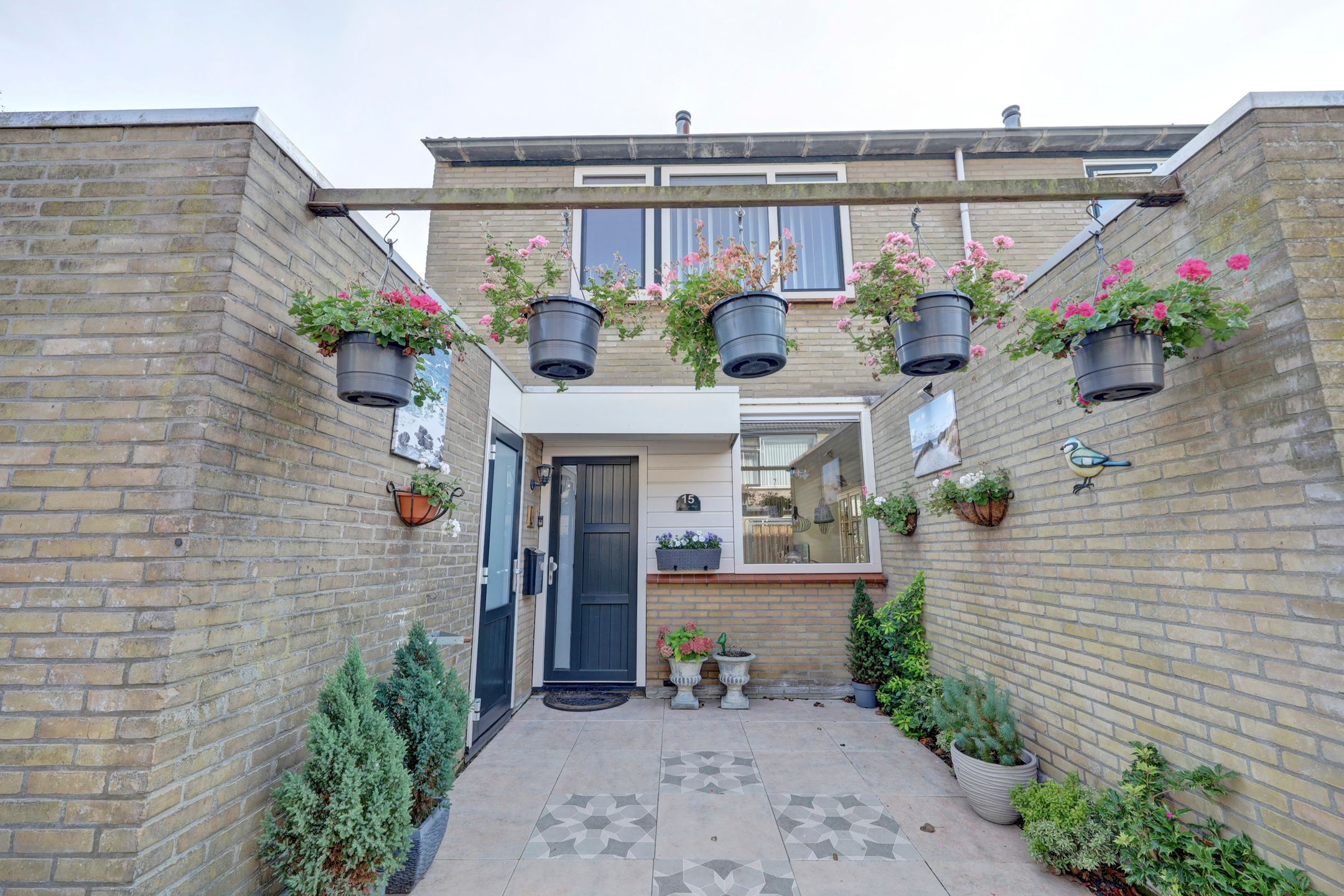 Foto 6 van Meerkoet 15