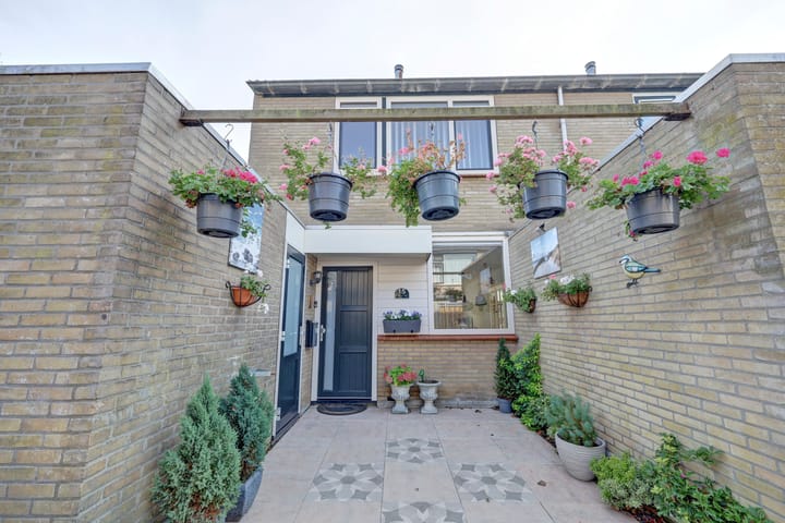 Foto 6 van Meerkoet 15