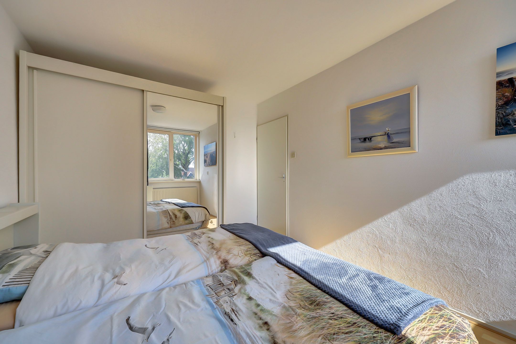 Foto 24 van Meerkoet 15