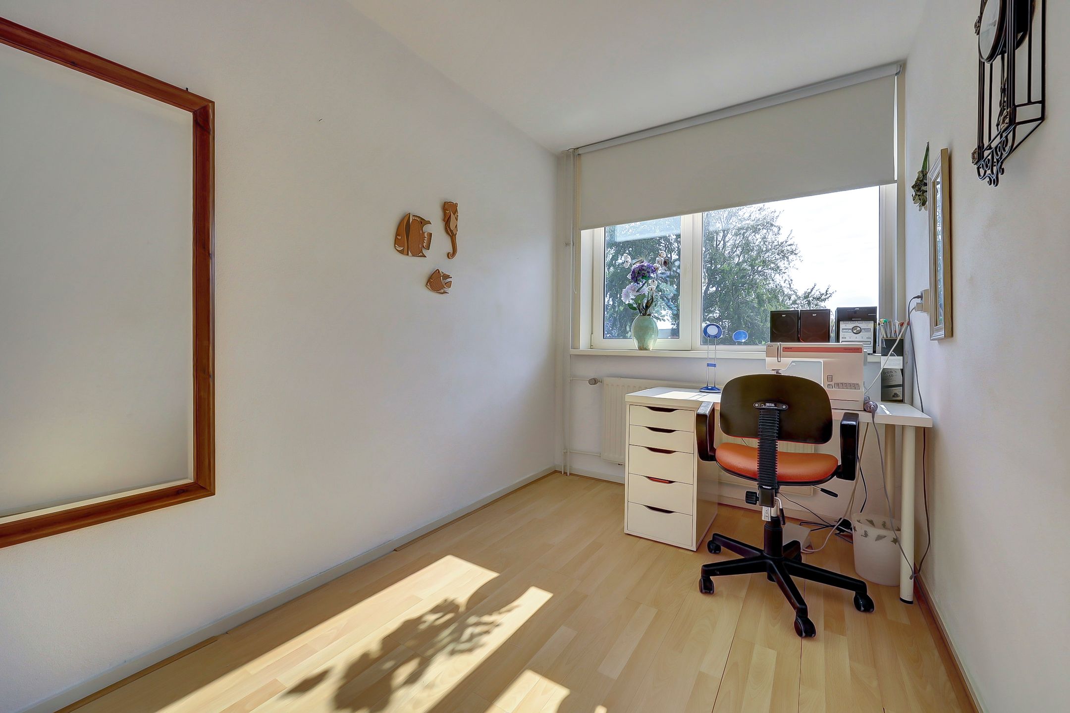 Foto 27 van Meerkoet 15