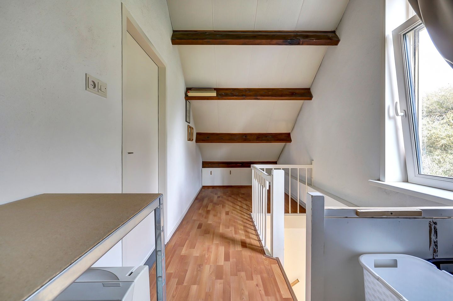 Foto 35 van Meerkoet 15