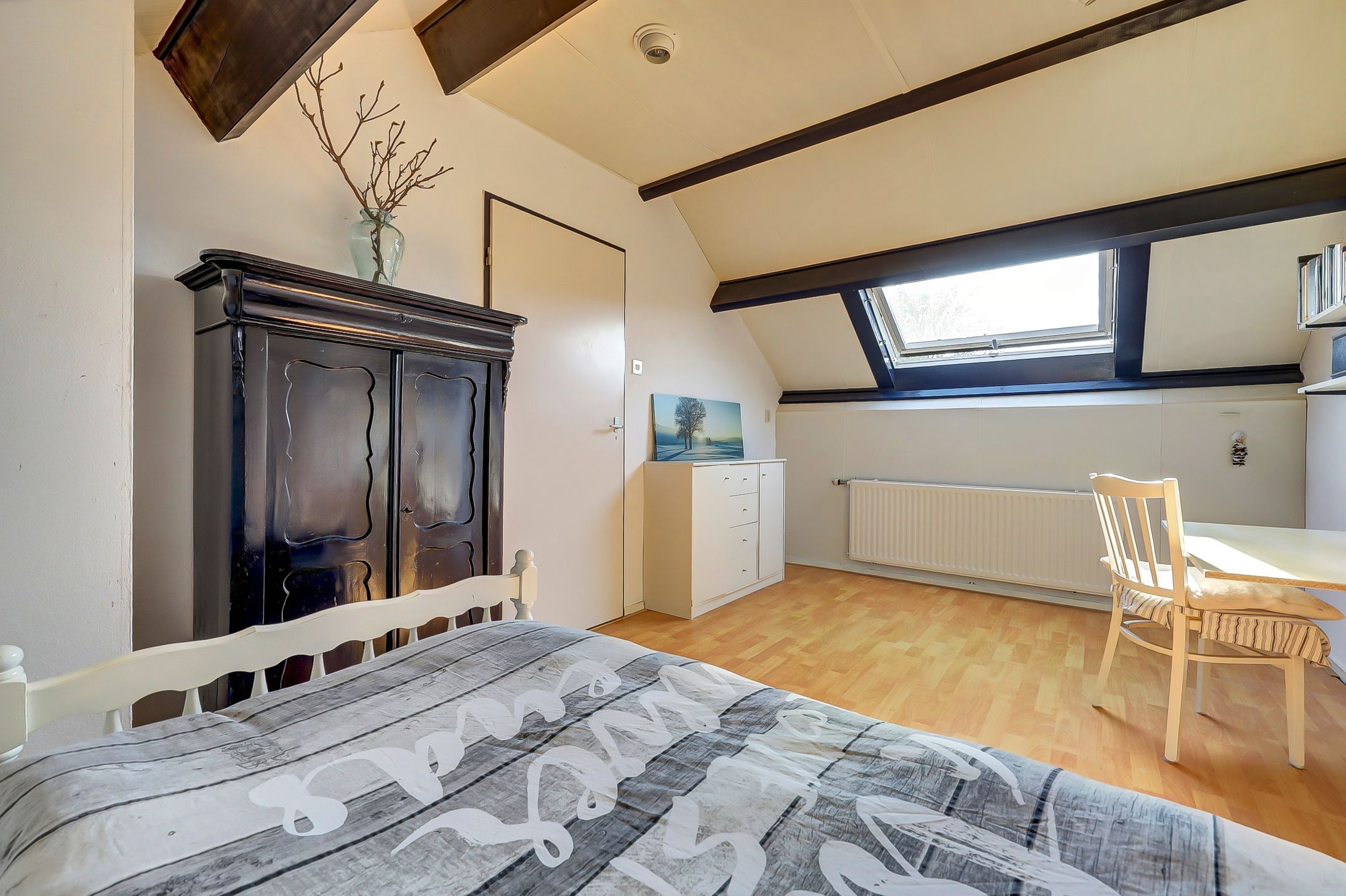 Foto 39 van Meerkoet 15