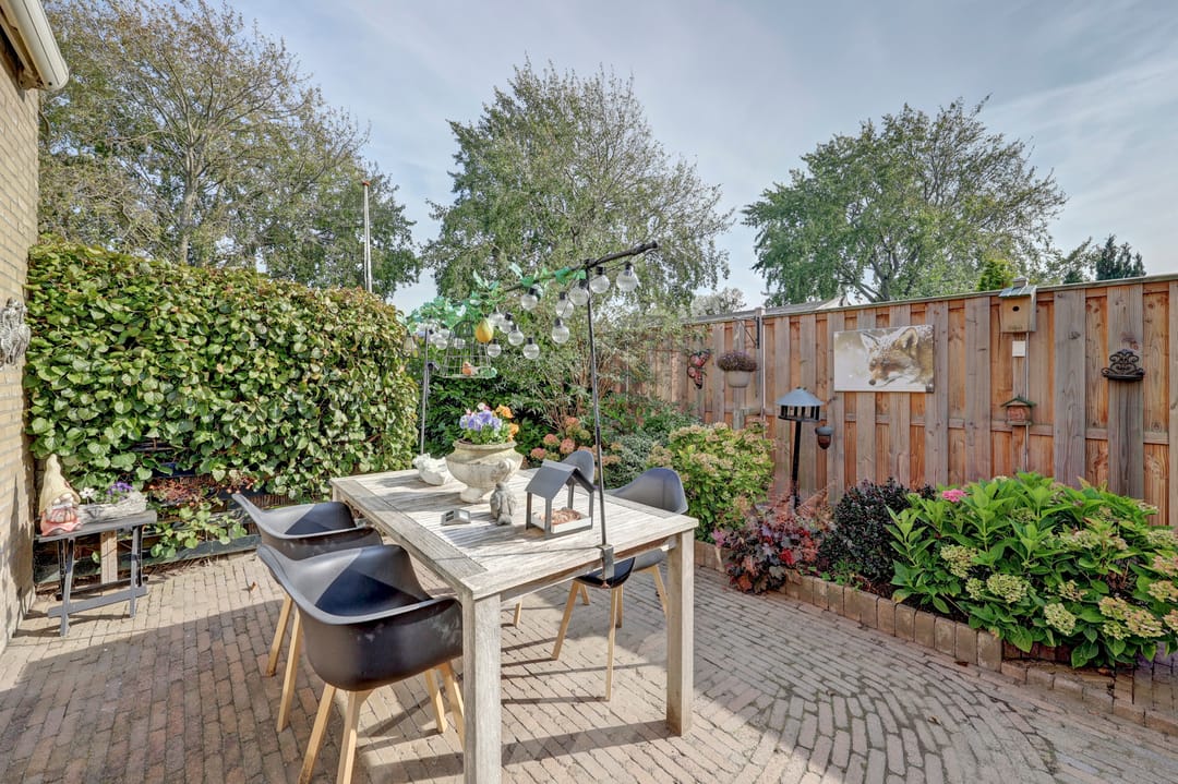 Foto 41 van Meerkoet 15