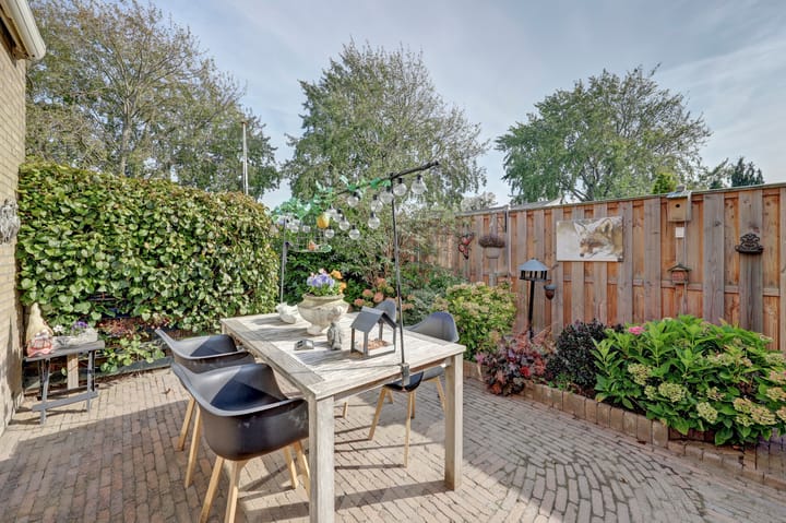 Foto 41 van Meerkoet 15