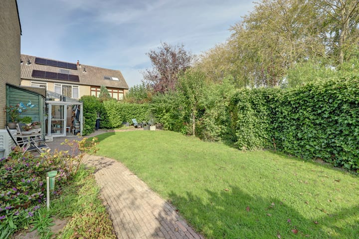 Foto 44 van Meerkoet 15