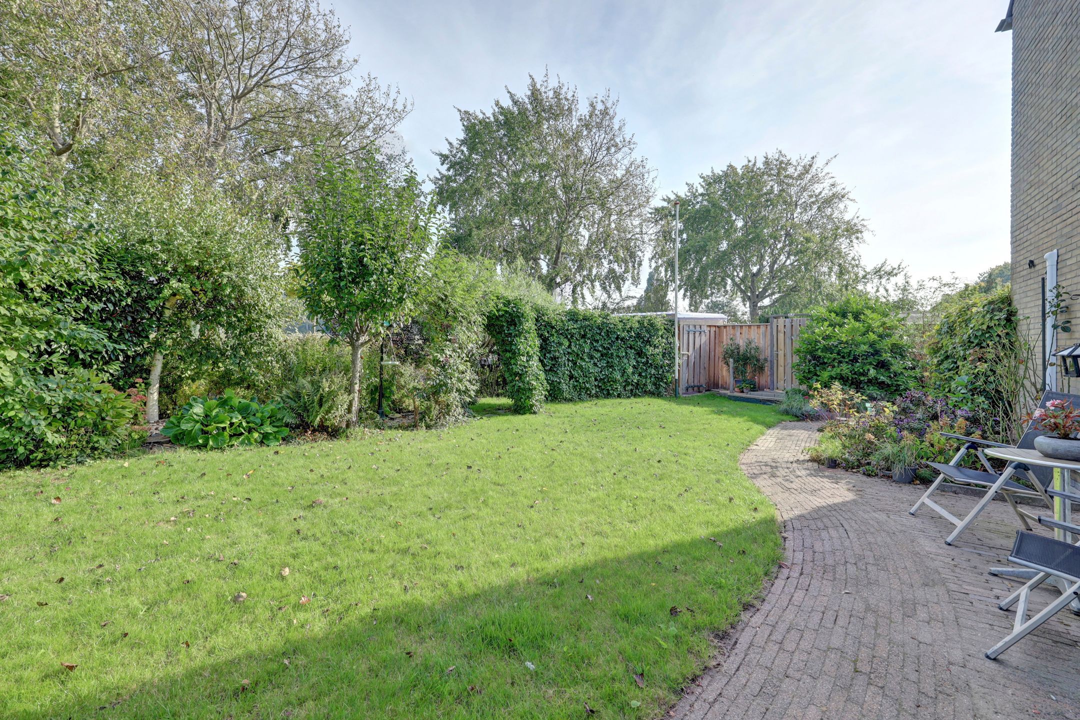 Foto 45 van Meerkoet 15