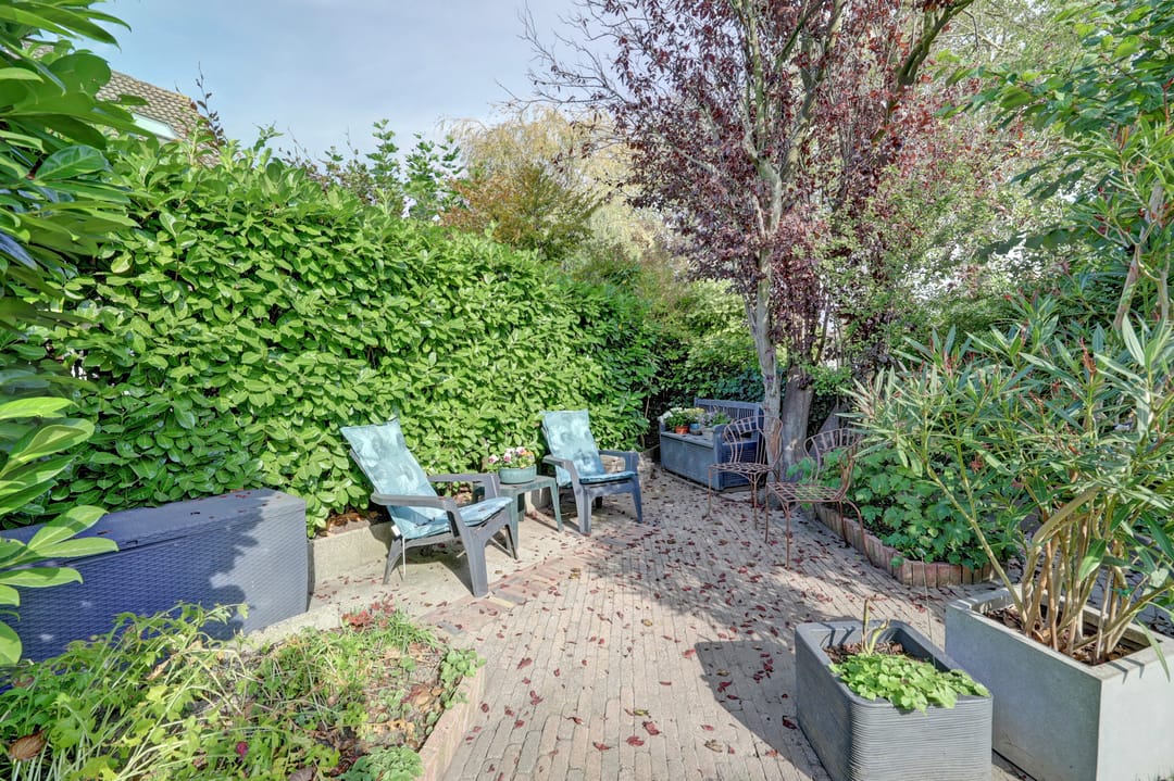 Foto 46 van Meerkoet 15