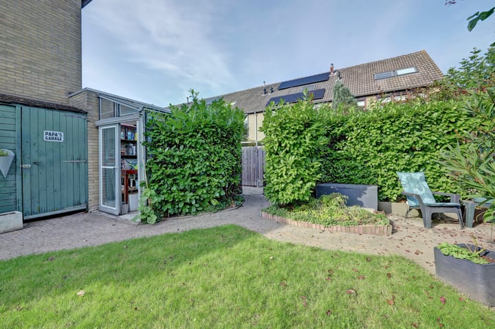 Foto 47 van Meerkoet 15