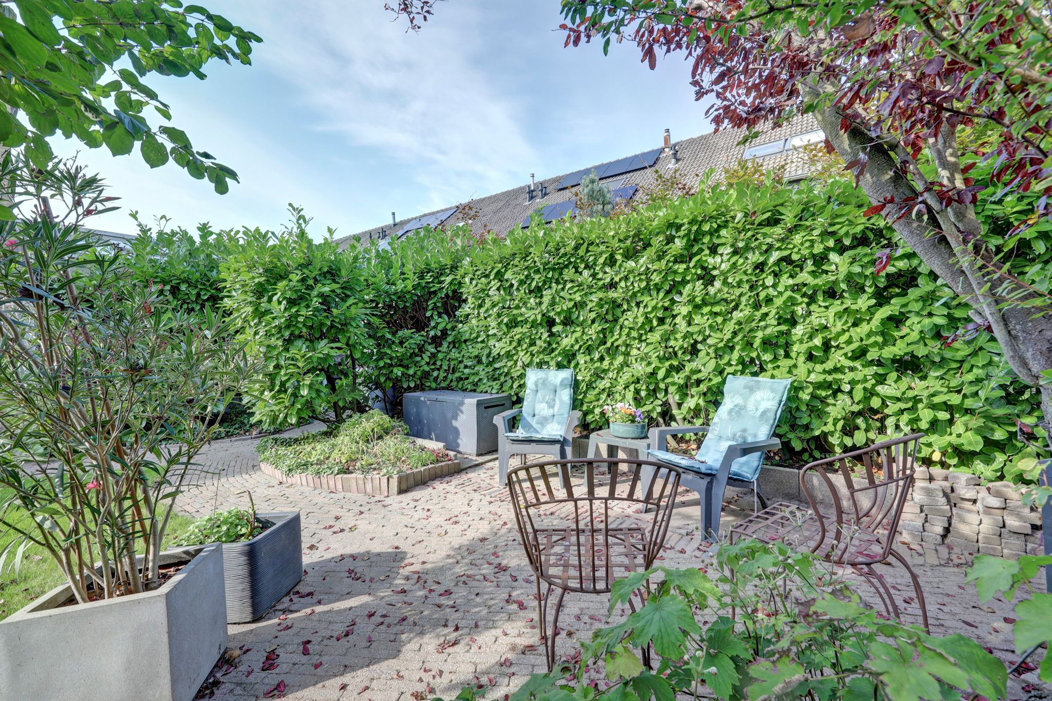 Foto 48 van Meerkoet 15