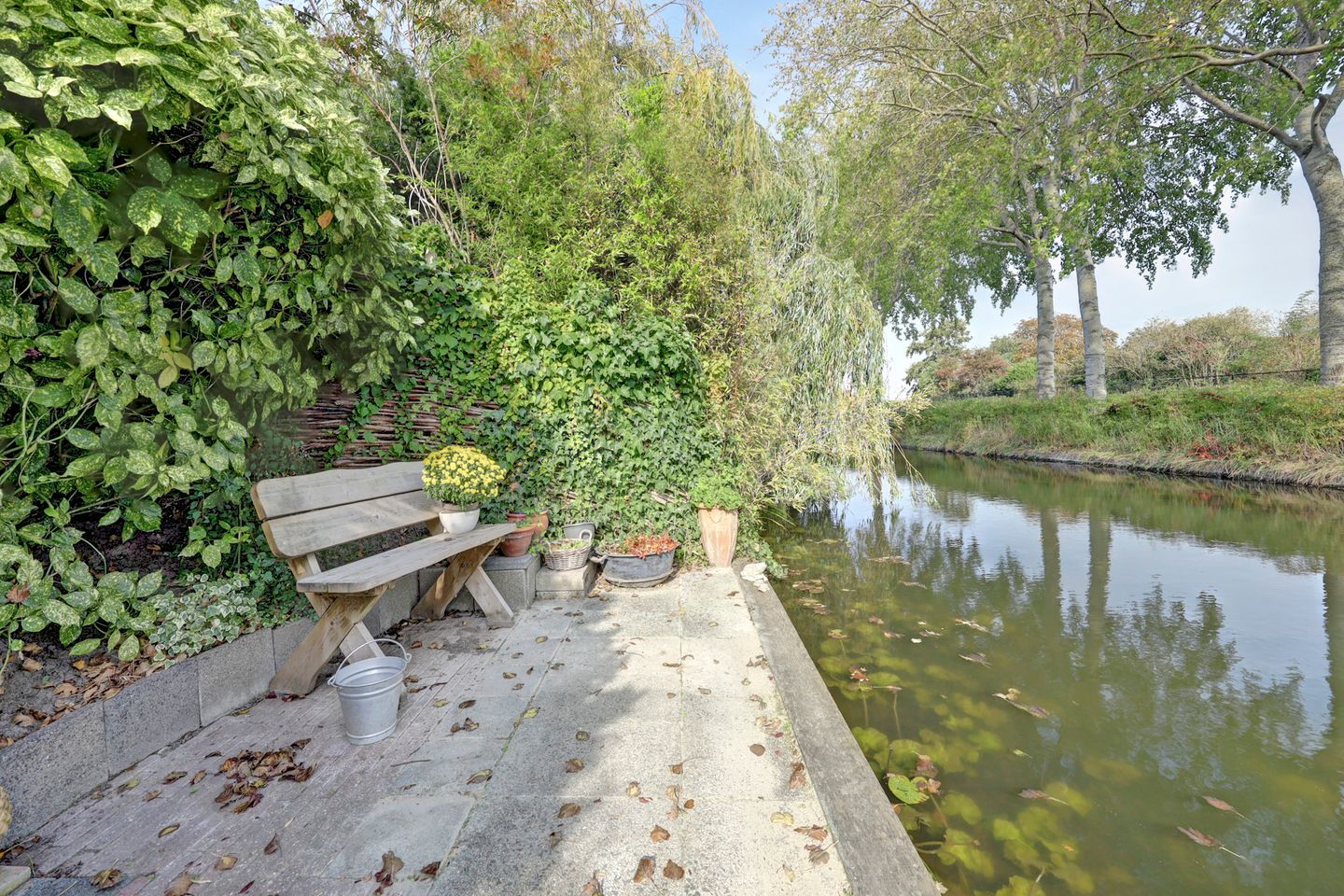 Foto 49 van Meerkoet 15