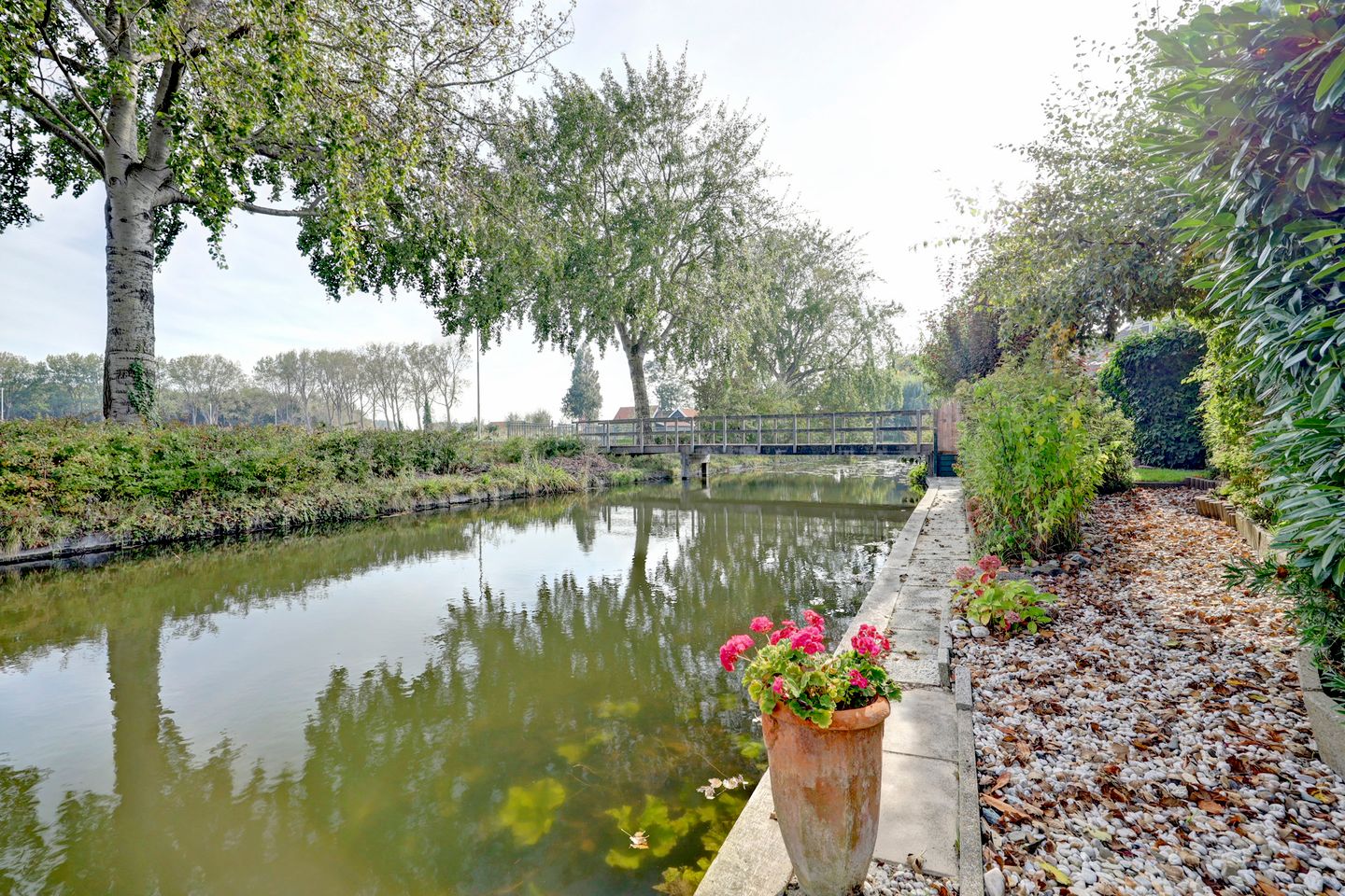 Foto 50 van Meerkoet 15