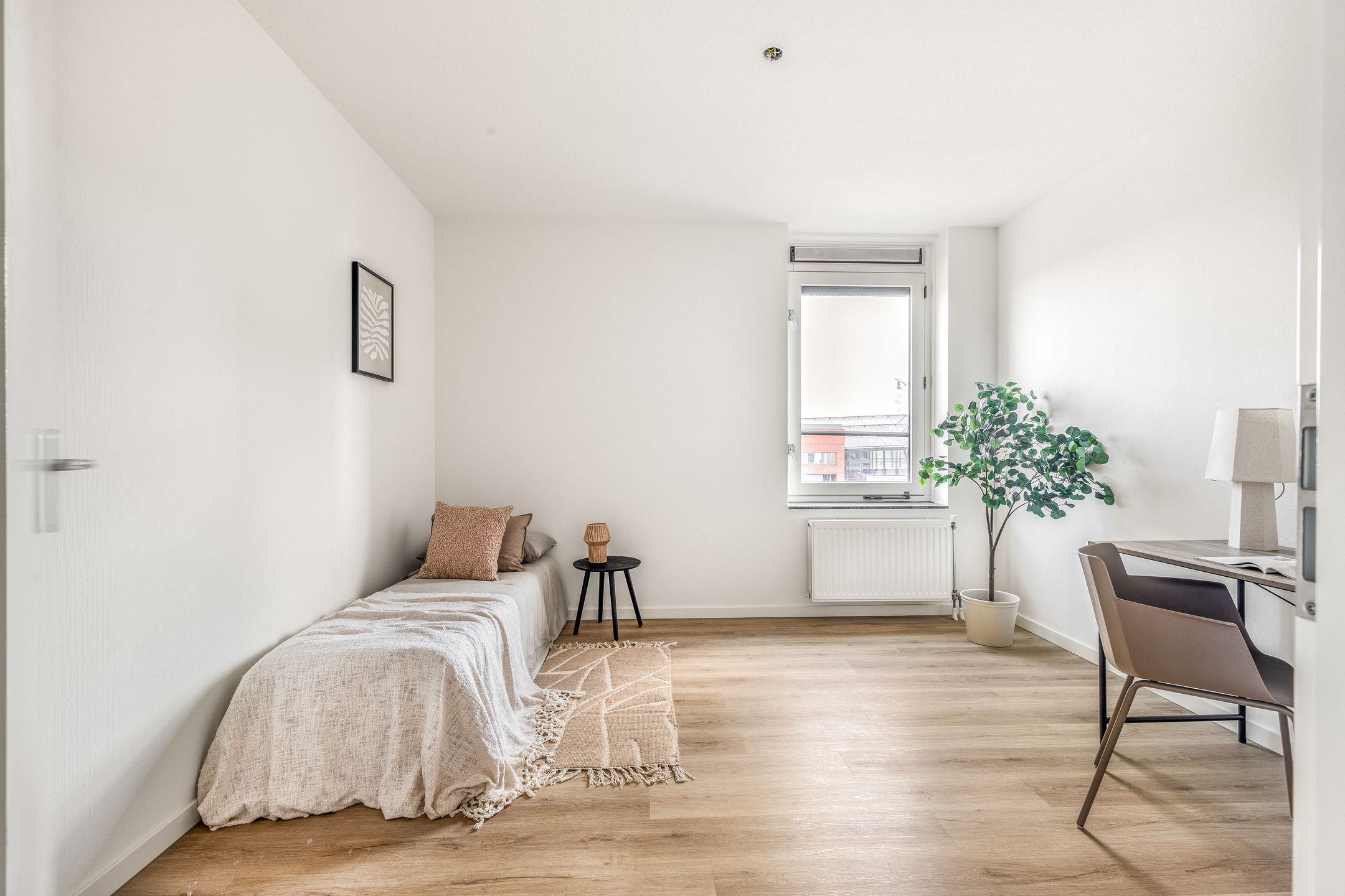 Photo 27 of Antje Breijerstraat 62