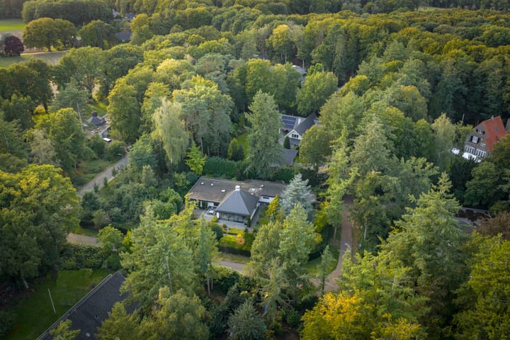 Hazeloop 4 main image