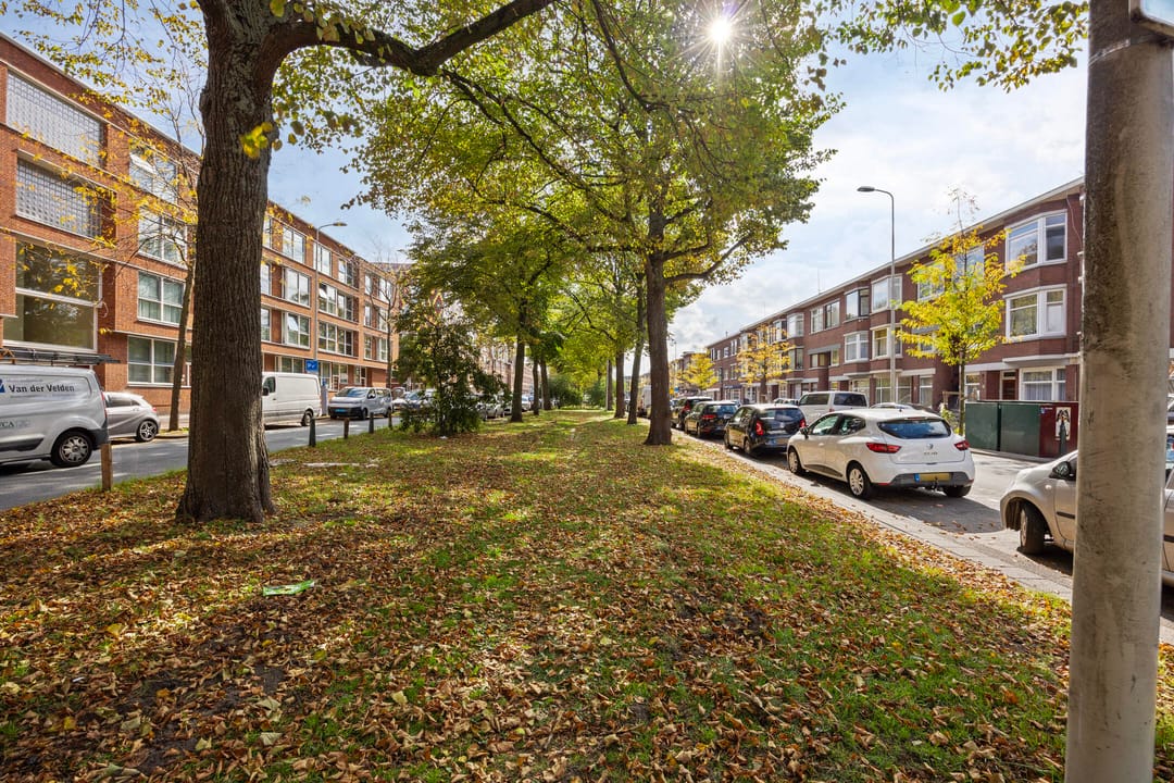 Foto 7 van De la Reyweg 533