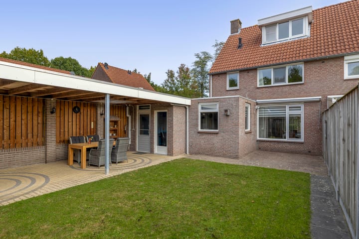 Foto 4 van Boekweit 10