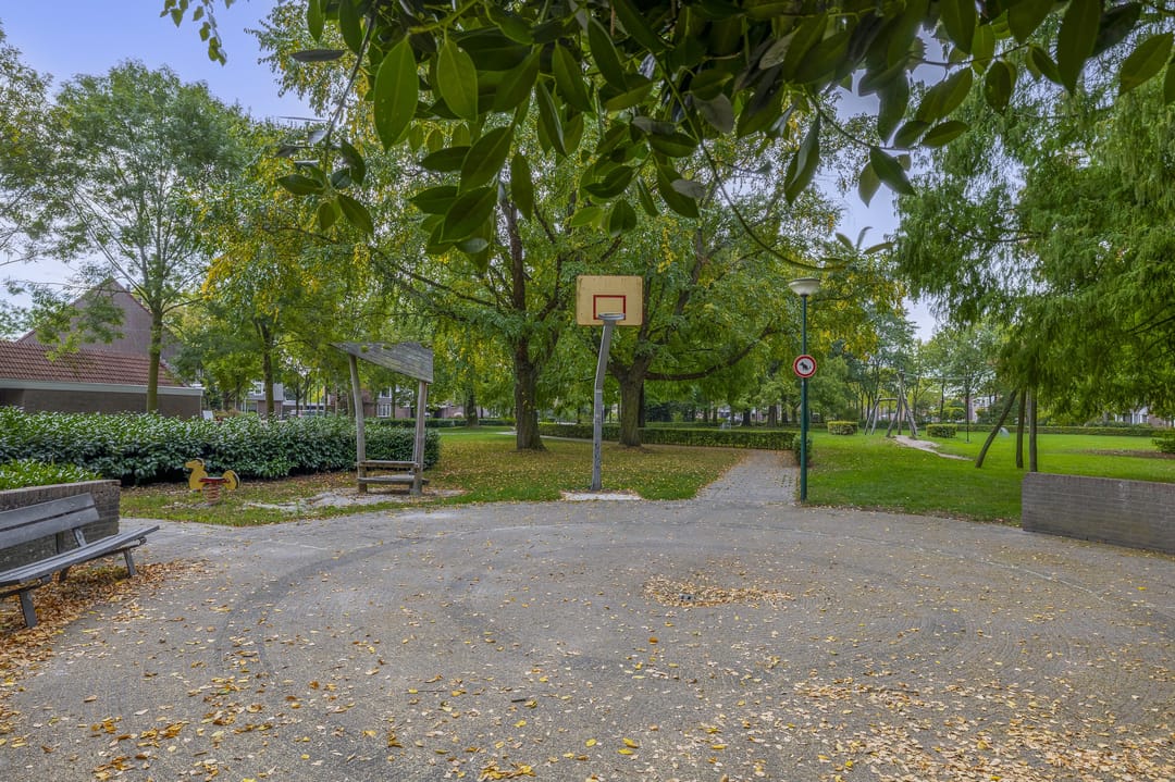 Foto 41 van Boekweit 10