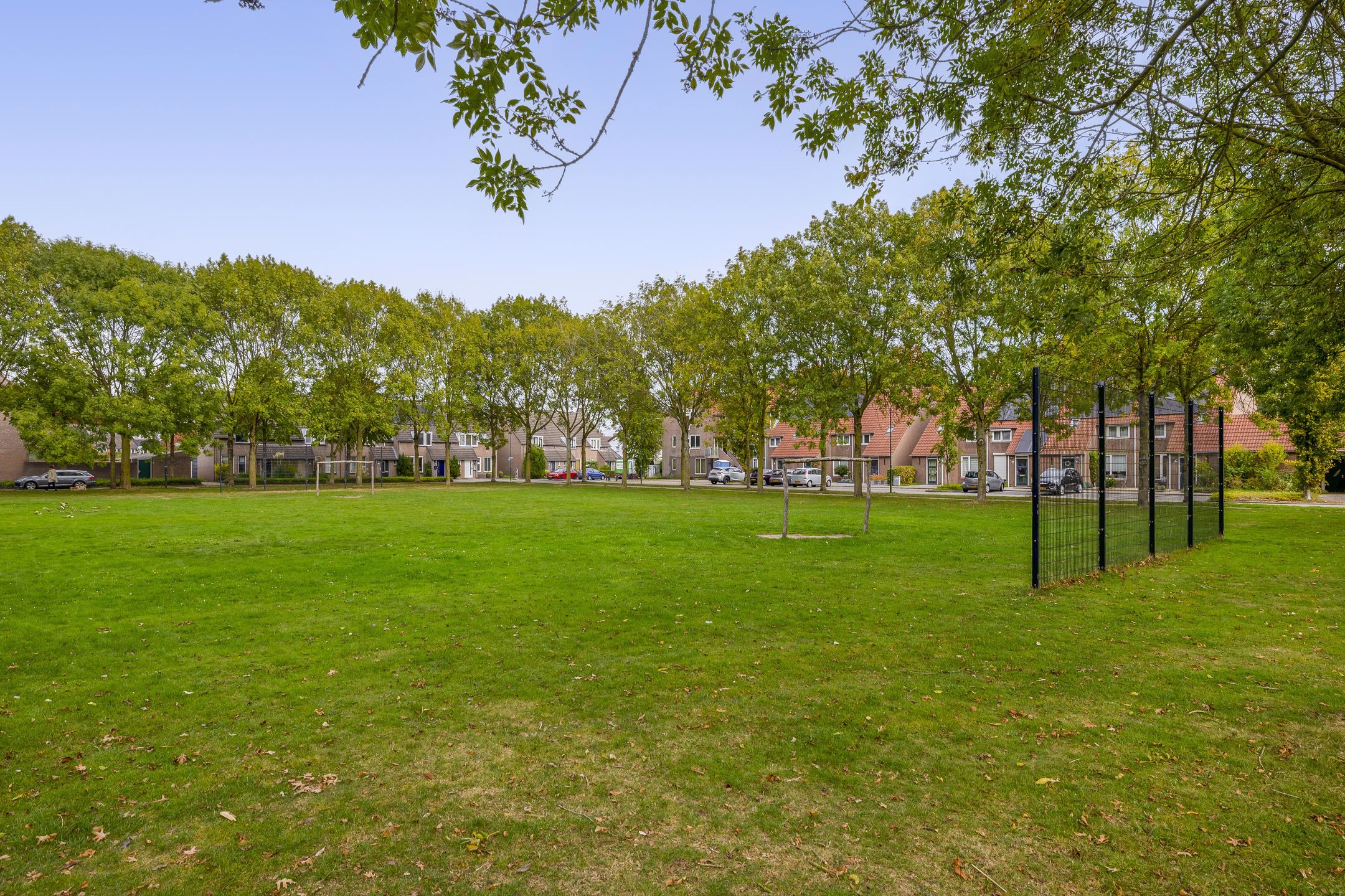 Foto 42 van Boekweit 10