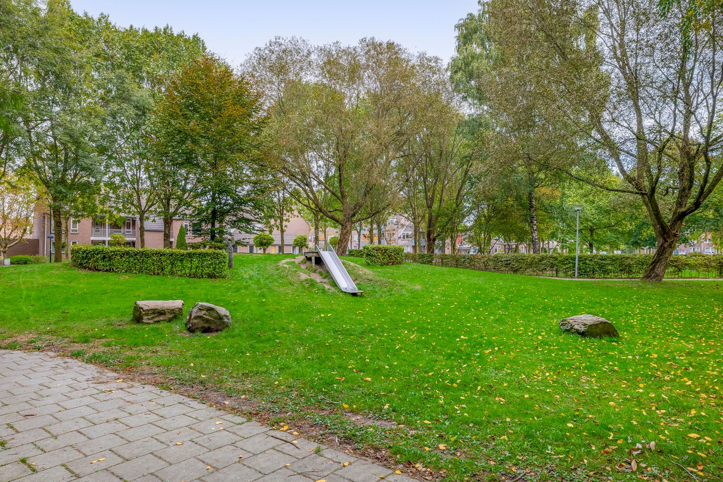 Foto 44 van Boekweit 10