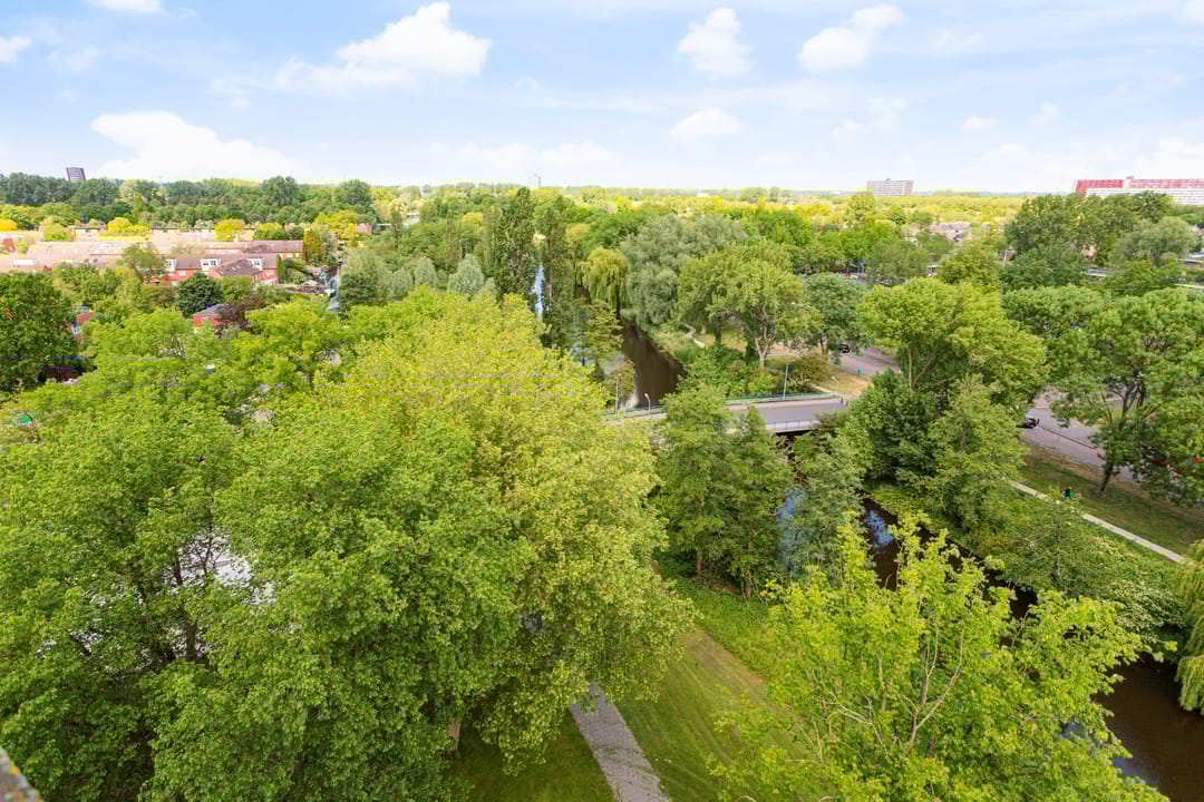 Foto 17 van Bloemgracht 210