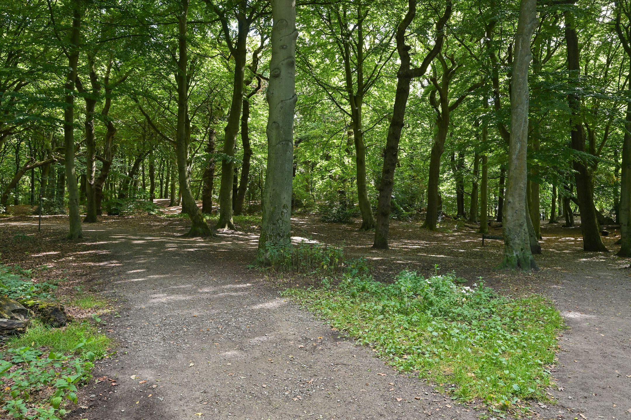 Foto 36 van Jan Muschlaan 122