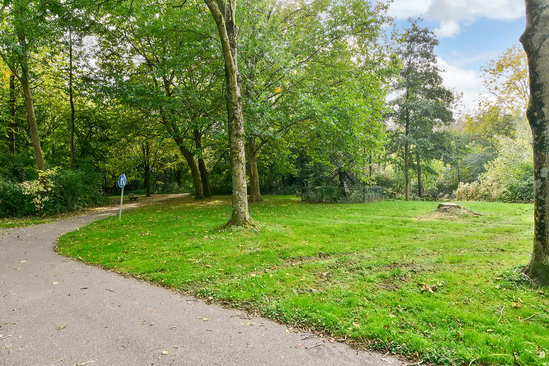 Foto 28 van Weegbreestraat 96