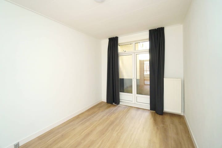 Foto 4 van Laan van Nieuw-Guinea 91