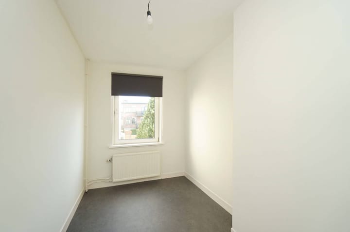 Foto 14 van Laan van Nieuw-Guinea 91