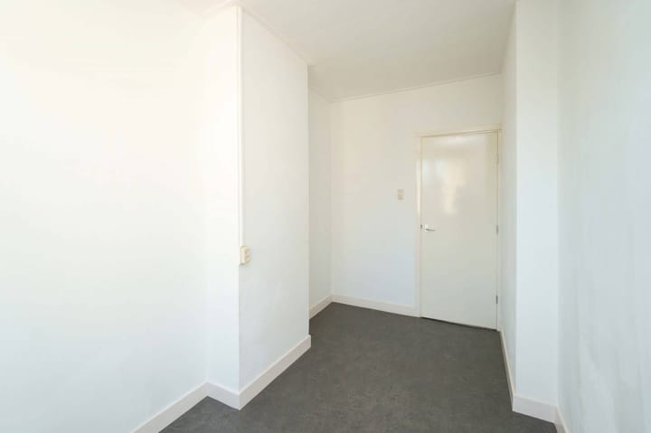 Foto 15 van Laan van Nieuw-Guinea 91