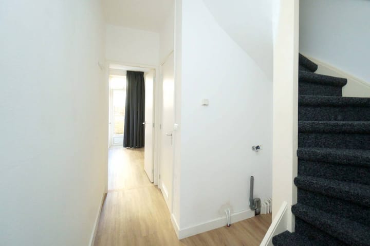 Foto 7 van Laan van Nieuw-Guinea 91