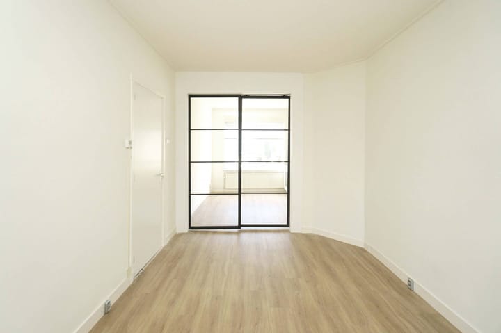 Foto 3 van Laan van Nieuw-Guinea 91